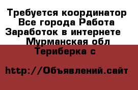 Требуется координатор - Все города Работа » Заработок в интернете   . Мурманская обл.,Териберка с.